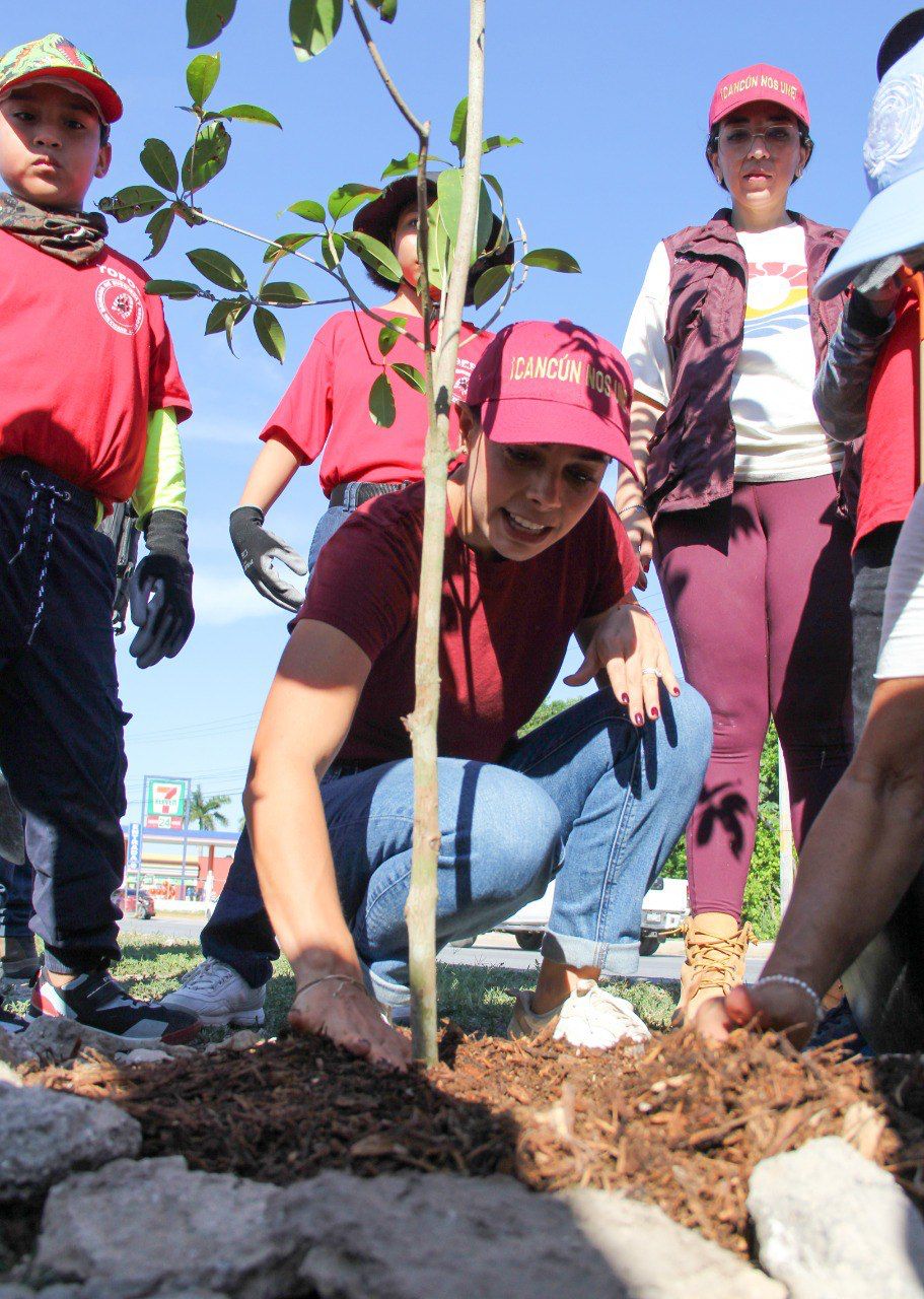 uploads/6/32/01 (408).Jpeg